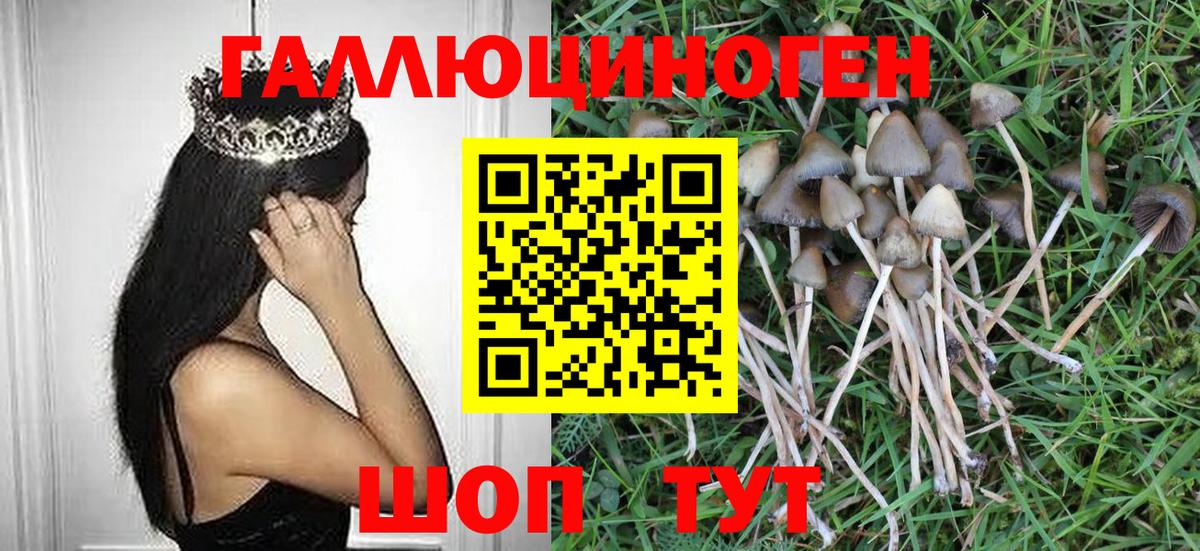 Псилоцибиновые грибы MAGIC MUSHROOMS Фурманов